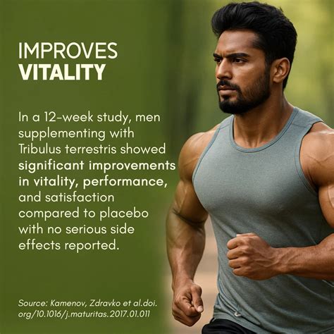 Gokshura (Tribulus) Tablets for Men’s Health & Performance - Rasayanam