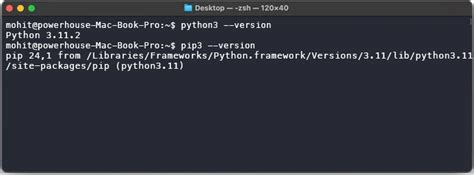 Python 3.10 Pandas Install 的图像结果