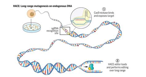 Gene Editing Machine 的图像结果