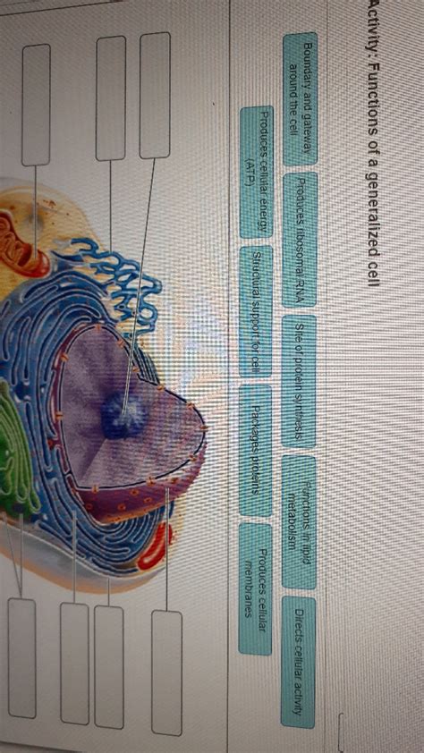 Generalized Cell Structure 的图像结果
