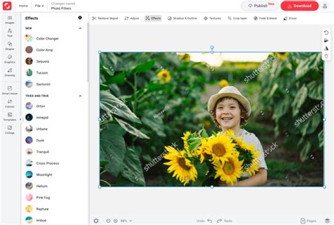 Image result for Image Filter