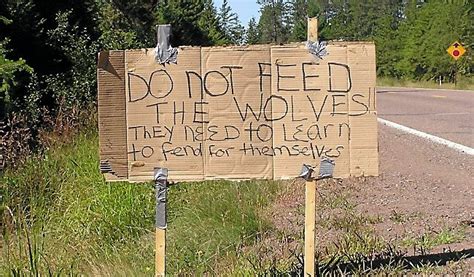 Image result for Types of Wolves