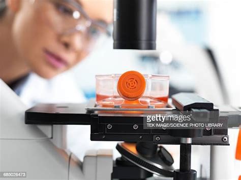Inverted Microscope for Cell Stack 的图像结果