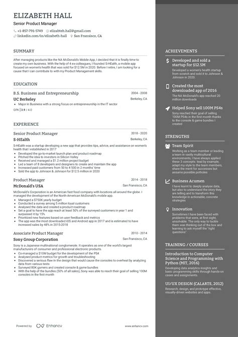 Cool Business Resumes