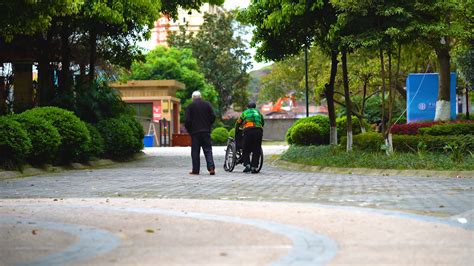 老年人推着老伴在公园里散步1视频特效素材-千库网