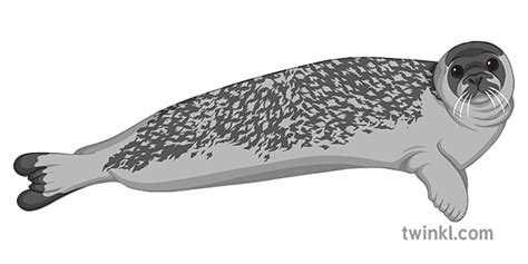 Animale de la Polul Sud - Wiki Page | Twinkl România