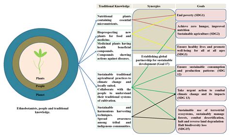 Role of Traditional Ethnobotanical Knowledge and Indigenous Communities ...