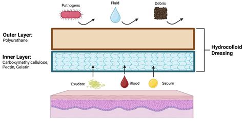 Narrative Review of the Use of Hydrocolloids in Dermatology: Applications and Benefits
