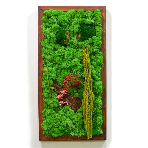 Buy Moss Frames Online | Moss Wall Art in India – myBageecha