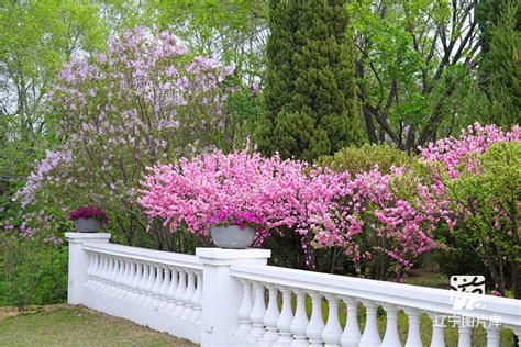 北京世界花卉大观园花潮季活动开启