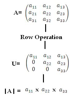 Image result for Upper Triangular Matrix Determinant