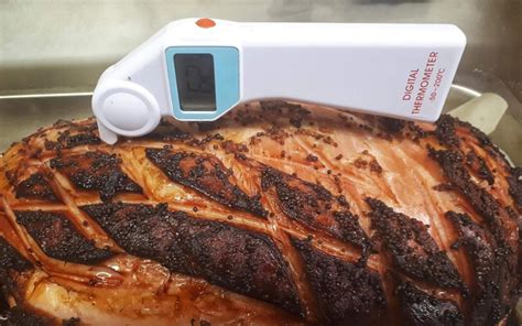 Image result for Meat thermometer Cooking Tips