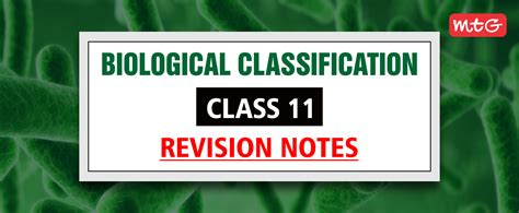 Image result for Biological Classification Class 11 Animation