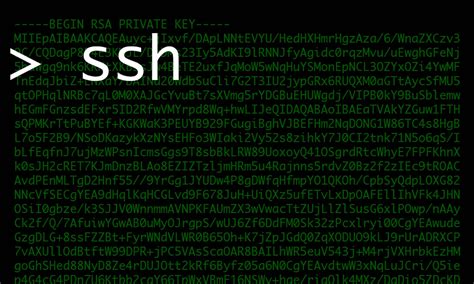 Image result for Using SSH Keys with IPA