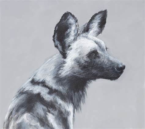 Alert African Wild Painted Dog No 2 - Nicholas Romeril