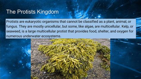 Are Protists Eukaryotic