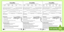 KS1 Crocodiles Fact File (teacher made) - Twinkl