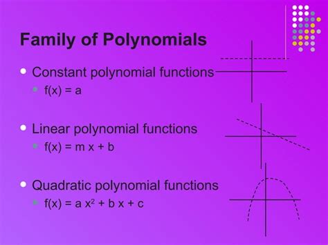 Polynomial Graph Examples 的图像结果