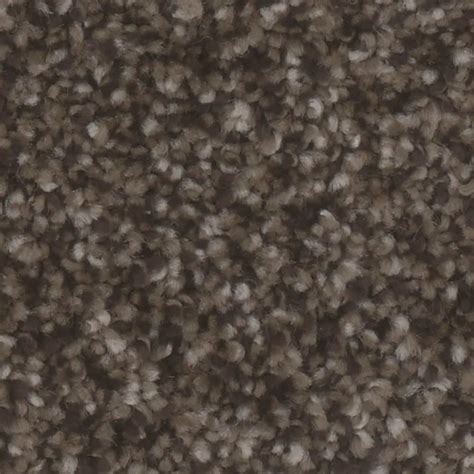 STAINMASTER (Sample) Haven Gray 60-oz sq yard Polyester Textured Indoor ...