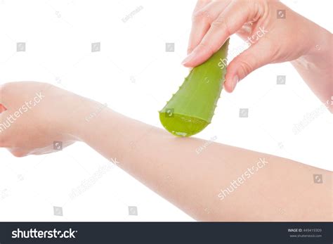 2,189 Aloe Vera For Burns Images, Stock Photos & Vectors | Shutterstock