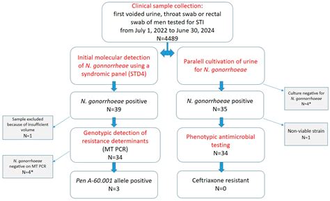Antimicrobial Resistance Profile and Molecular Screening for the penA ...