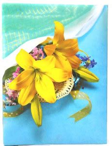 Cute Shopping Network Create & Design Nataj New Slide-In Portable MINI ...