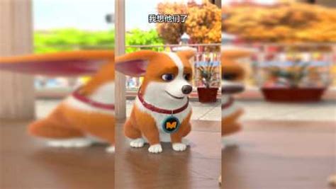 飞狗MOCO之宠物店的小秘密-小视频特别版 _高清1080P在线观看平台_腾讯视频