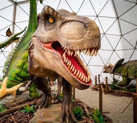 DINOPARK TATRY (2026) All You Need to Know BEFORE You Go (with Photos ...