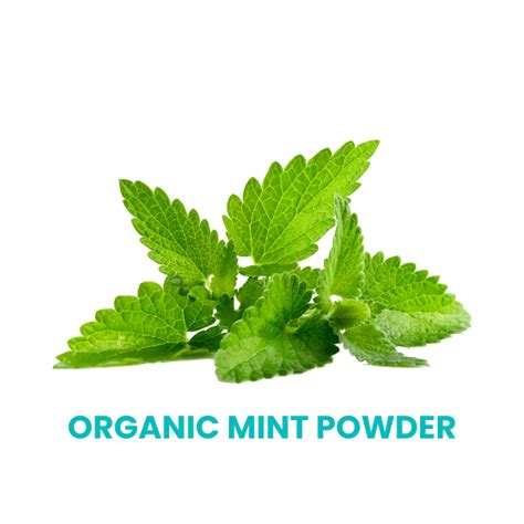 Mint Matcha Green Tea – Tea Trunk