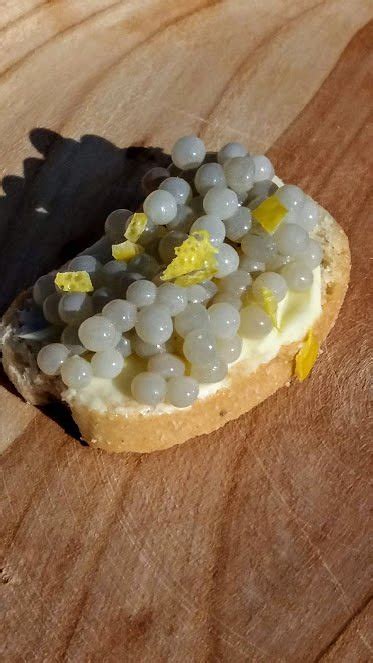 Escargotière de Warnant (Anhée) - All You Need to Know BEFORE You Go