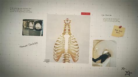 Science Project Presentation 的图像结果