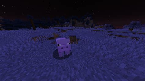 Alien Mod 1.16.5 的图像结果