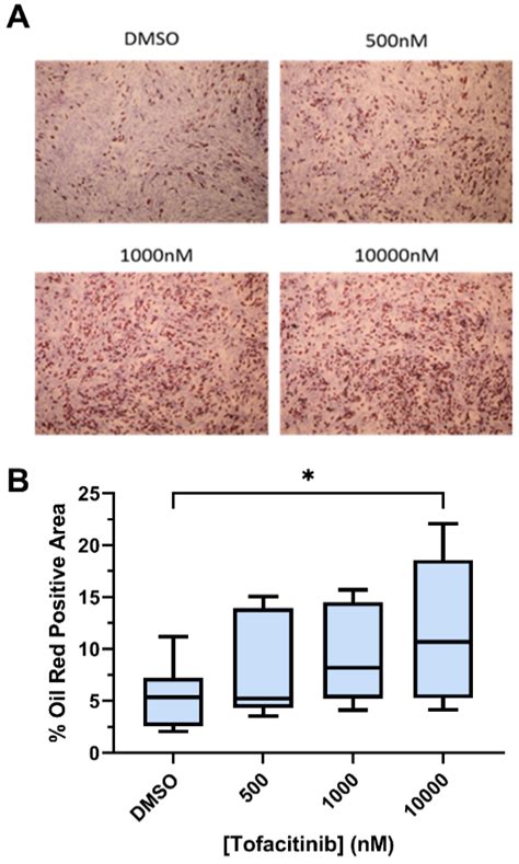 Tofacitinib Blocks Entheseal Lymphocyte Activation and Modulates MSC ...