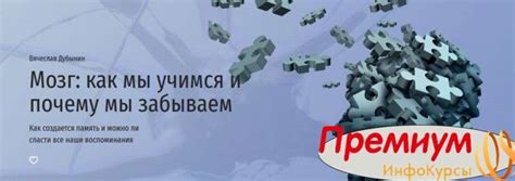Курс [Вячеслав Дубынин] Мозг: как мы учимся и почему мы забываем (2022 ...