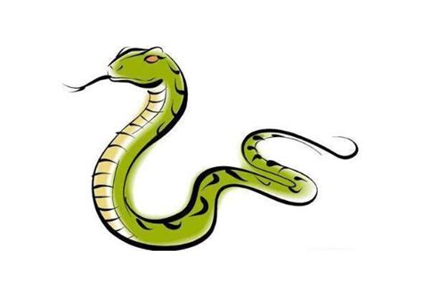 为什么属蛇的人很厉害 属蛇的人性格到底是什么
