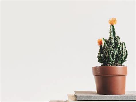 Vankirk-Grisell Funeral Home | Corbin, Kentucky | Ever Loved