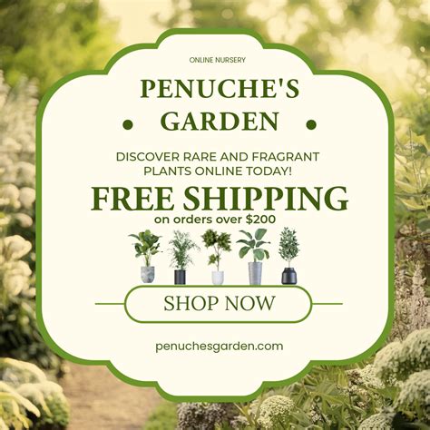 Are Rhododendron Deer Resistant? Tips To Keep the Animal Away - Plant ...