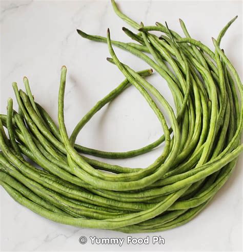 Image result for String Beans Plant