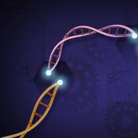 基因编辑技术新突破！科学家可以一次编辑多个基因组片段|基因编辑|基因组_新浪新闻