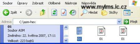 Image result for Can You Convert Hex File to a ASM File