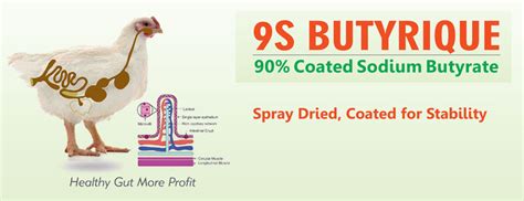 Invetis Life Sciences