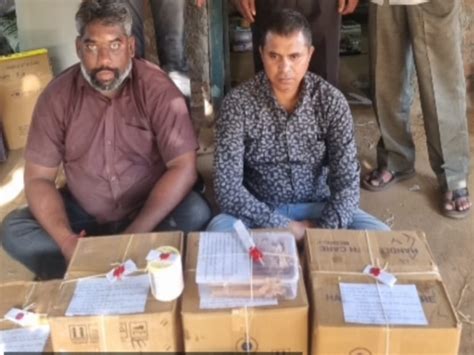 12-day remand of accused in Vadodara Moxie MD drugs case approved ...