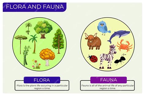 Flora And Fauna Meaning