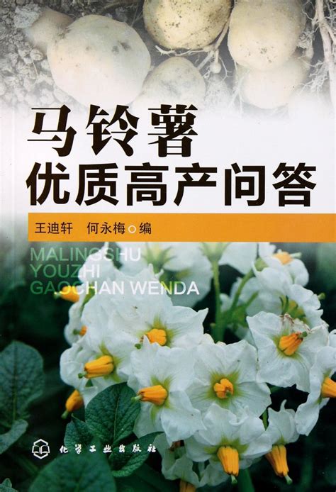 Amazon.in: Buy High Quality and Yield of Potatoquestions and answers ...