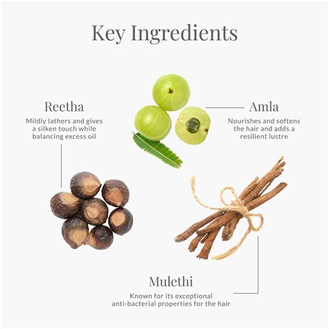 Hair Cleanser Ayurvedic Shampoo • Amla Honey & Mulethi