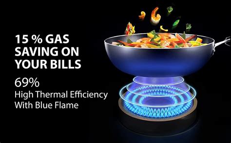 Surya Flame Ultimate LPG Gas Stove 2 Burners Manual Ignition with ...