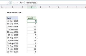 Image result for Excel Month Function