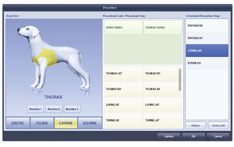 Tutorial Win Vet 的图像结果