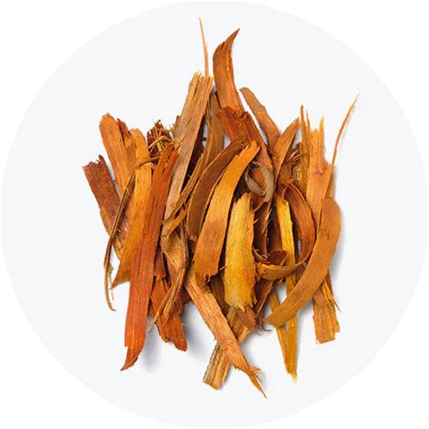 Buy Vicco Vajradanti Toothpaste Online | Ayurvedic Toothpaste – Vicco labs