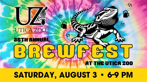 Appliocation Example 的图像结果